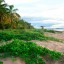 Meteorologia marinha e das praias em Iracoubo dos 7 próximos dias