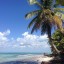 Quando ir a banhos em Ilha Saona: temperatura do mar mês a mês
