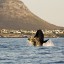 Horários das marés em Cape of Good Hope dos 14 próximos dias