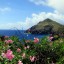 Meteorologia marinha e das praias em Saba dos 7 próximos dias