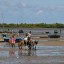 Horários das marés em Morombe dos 14 próximos dias
